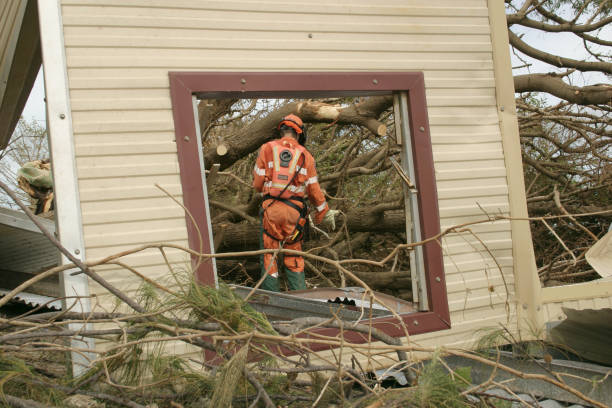 How Our Tree Care Process Works  in  Youngsville, LA